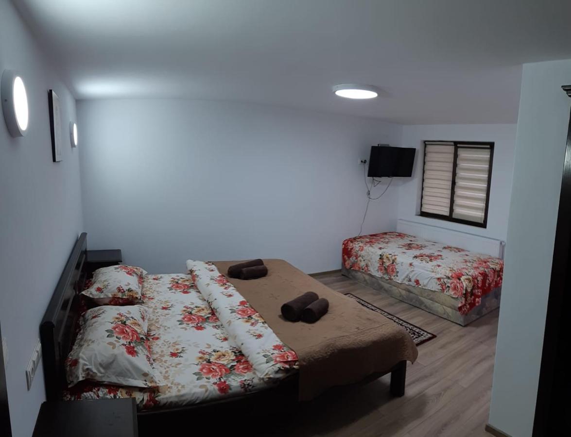 Casa De Vacanta Perla Colibitei Colibiţa エクステリア 写真