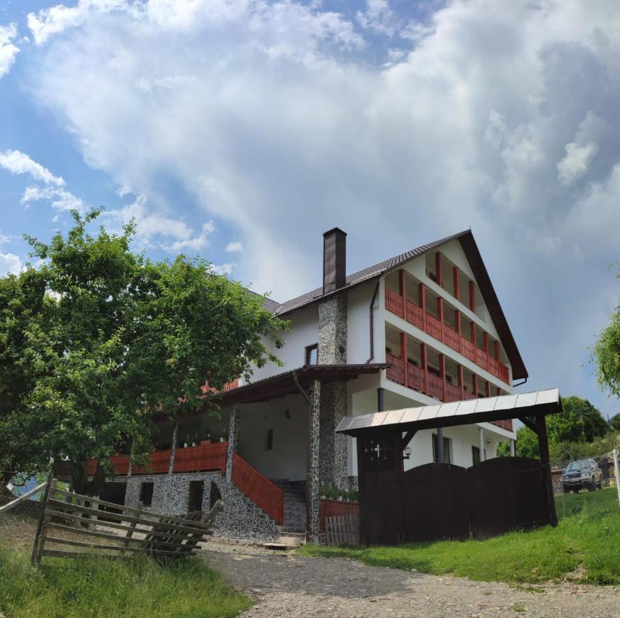 Casa De Vacanta Perla Colibitei Colibiţa エクステリア 写真