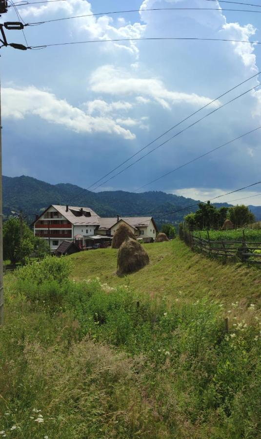 Casa De Vacanta Perla Colibitei Colibiţa エクステリア 写真