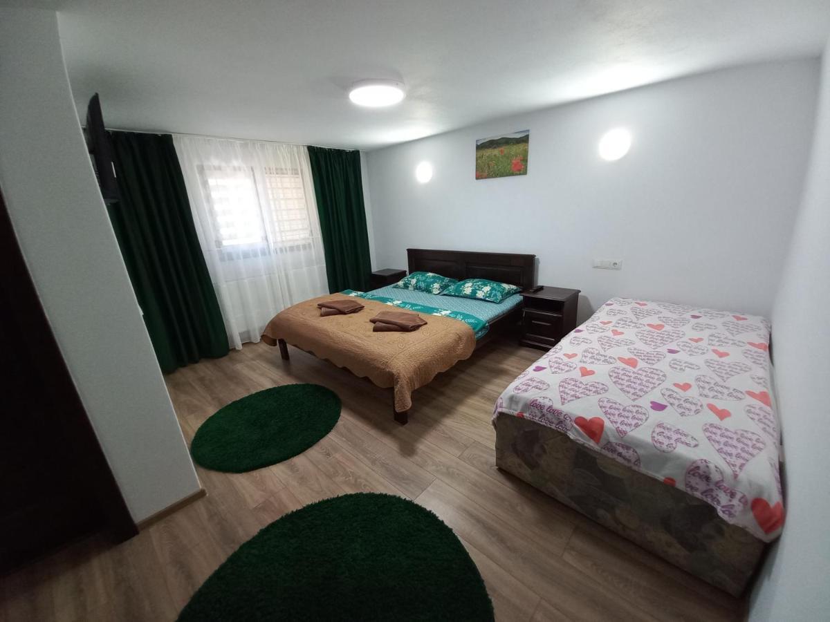 Casa De Vacanta Perla Colibitei Colibiţa エクステリア 写真