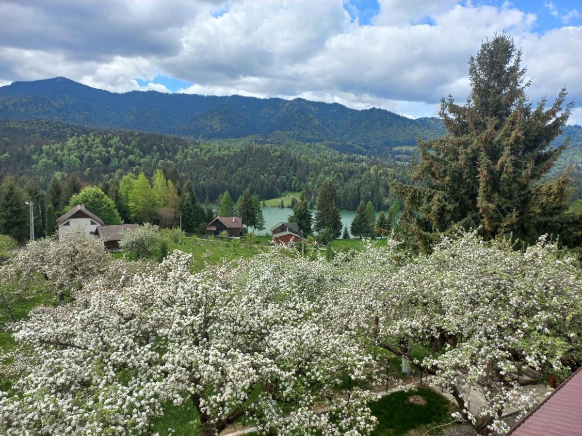 Casa De Vacanta Perla Colibitei Colibiţa エクステリア 写真