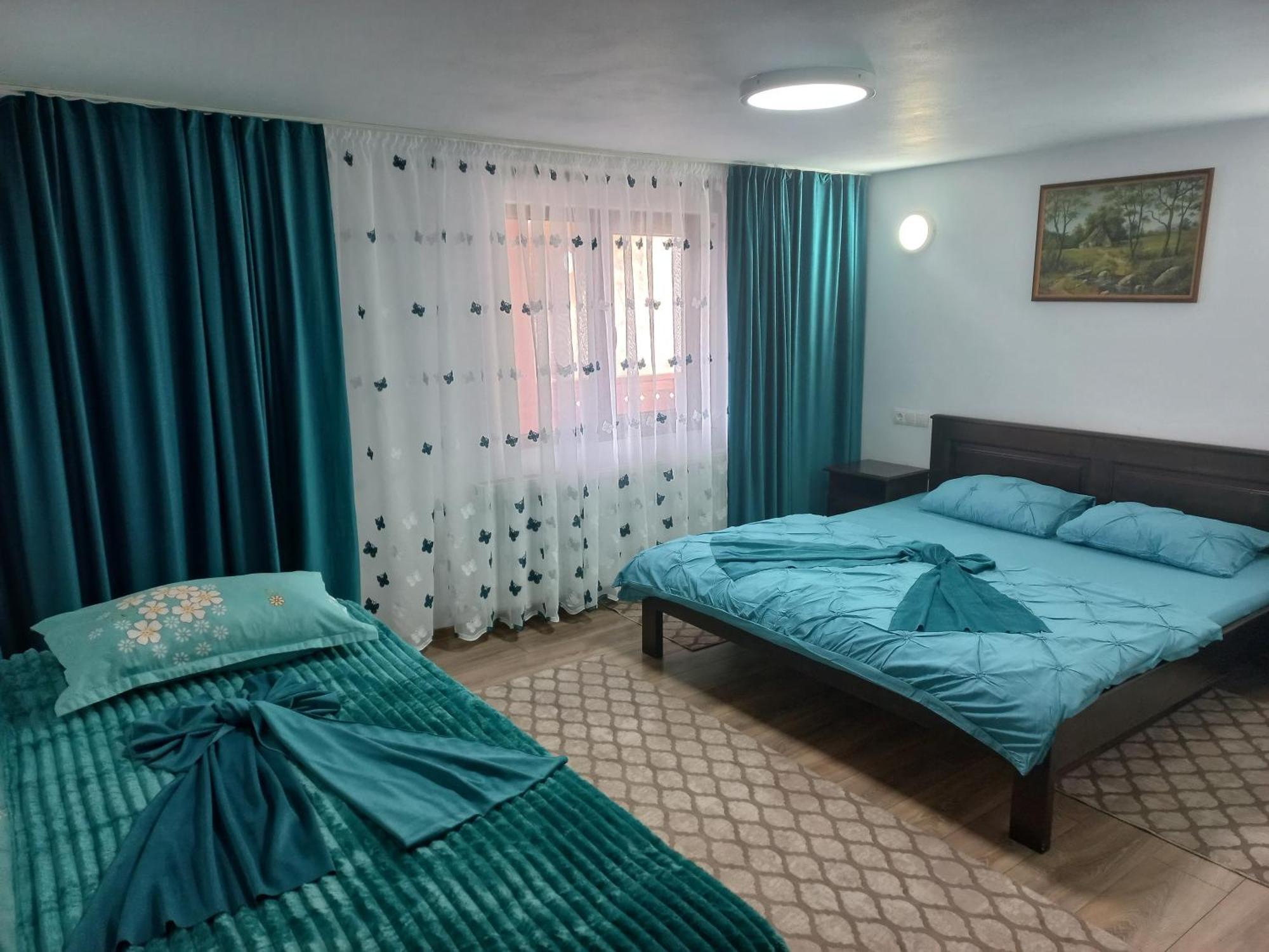 Casa De Vacanta Perla Colibitei Colibiţa エクステリア 写真